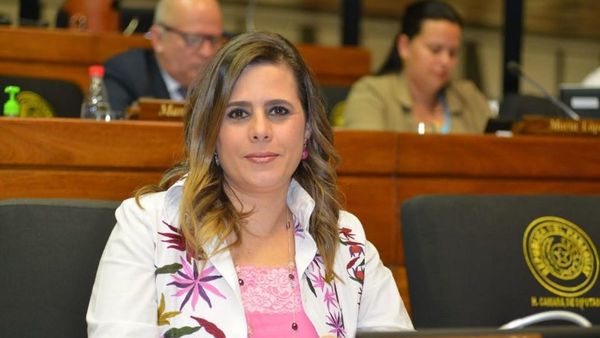 Expondrán a Gafilat preocupación por el sistema judicial politizado