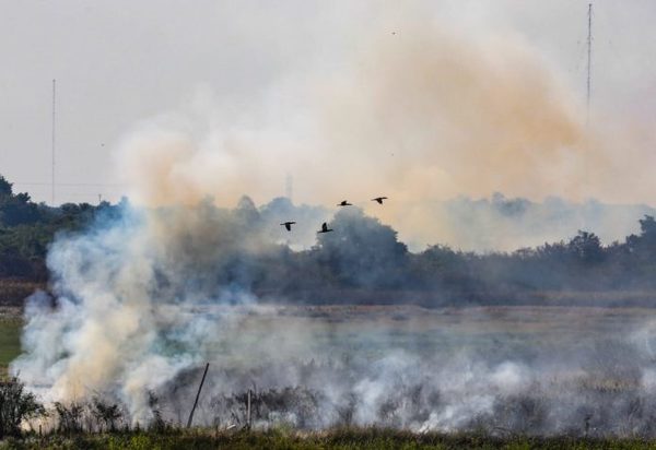 Infona analizará modificar ley de prevención de incendios