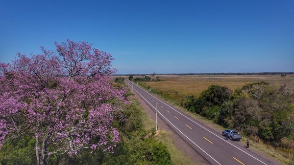 Presidente Mario Abdo entregará nuevas conexiones viales y viviendas en Misiones