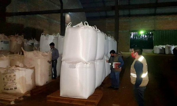 Retienen más de 500 toneladas de semillas de soja en Santa Rita, Alto Paraná - OviedoPress