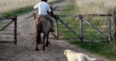 La Nación / Peón pidió permiso para ver a su hijo enfermo, le negaron y luego falleció el niño