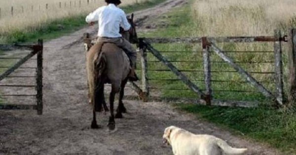 La Nación / Peón pidió permiso para ver a su hijo enfermo, le negaron y luego falleció el niño