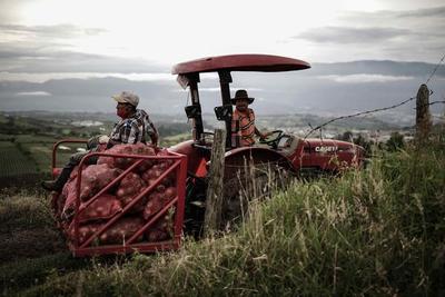 América destaca la relevancia de su sector agrícola para el mundo - MarketData