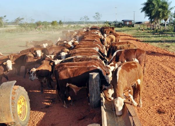 Primer paso de Paraguay para acceder a cuota 481 de UE para la carne - Nacionales - ABC Color