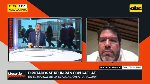 Diputados opositores plantearán contrabando y narcotráfico en reunión con Gafilat - Nacionales - ABC Color