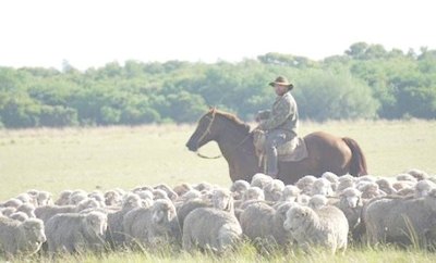 Crónica / No le dieron permiso y su hijo murió anga