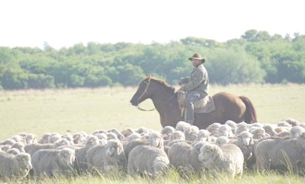 Crónica / No le dieron permiso y su hijo murió anga