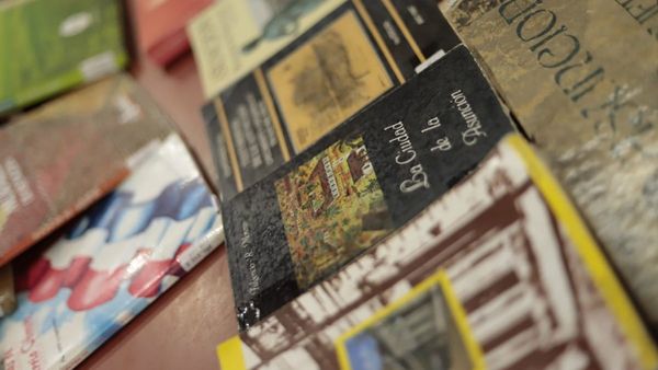 Muestra de acervo literario sobre Asunción