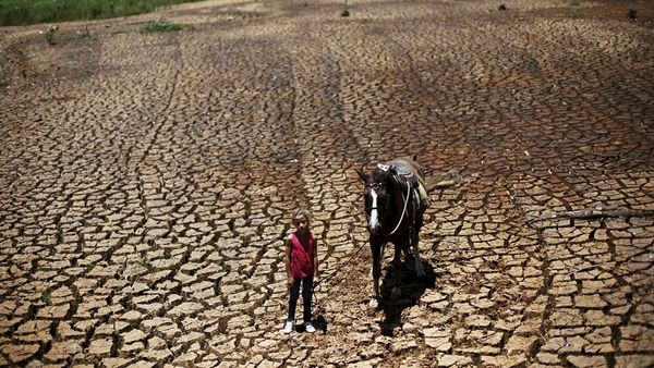 Brasil, bajo presión energética debido a una severa sequía