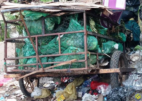 Basura podrida en medio de vecindario luqueño •