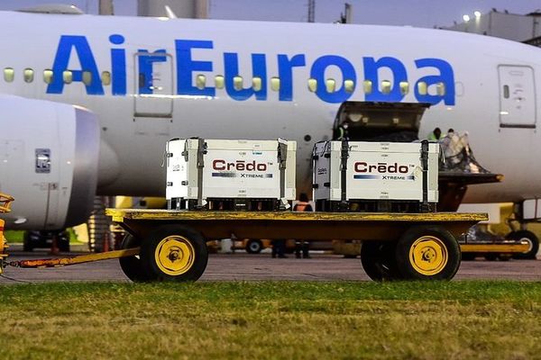Llegaron 50.800 dosis de la vacuna Moderna - Nacionales - ABC Color