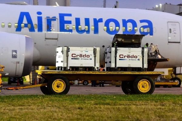 Llegaron 50.800 dosis de la vacuna Moderna
