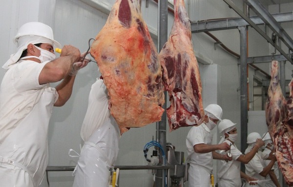 Se exportó carne por US$ 1.134 millones entre enero y agosto - El Trueno