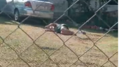 Mujer fue atacada por enjambre de avispas en Villa Elisa