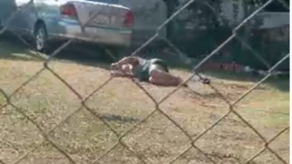 Mujer fue atacada por enjambre de avispas en Villa Elisa