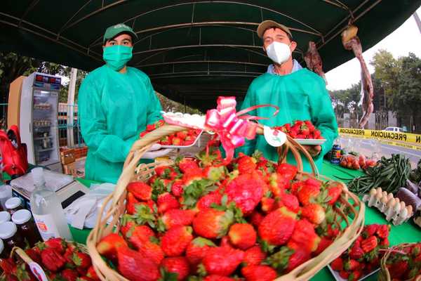 Gran feria de frutillas y orquídeas desde este viernes en el Shopping Multiplaza | .::Agencia IP::.