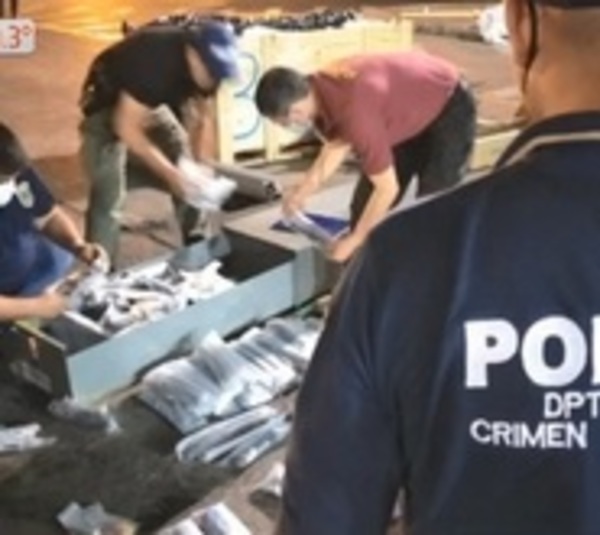 Incautan cargamento de 40 fusiles desarmados llegados de EEUU - Paraguay.com
