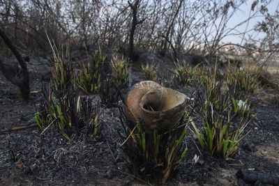 Suben las temperaturas y aumentan de nuevo los focos de calor - Nacionales - ABC Color