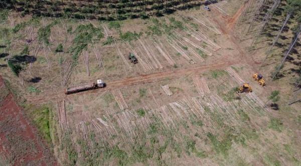Proyecto que eleva penas por invasiones fue postergada – Prensa 5