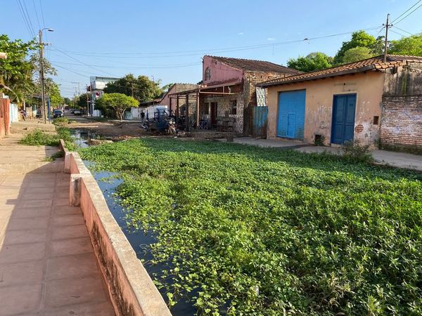 Pantanal con peces en plena calle asuncena - Nacionales - ABC Color