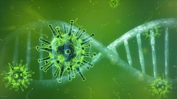 Nueva variante sudafricana mantiene en alerta a la OMS