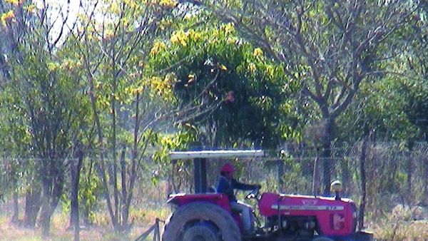 Presentaron más casos como el de don Crispín
