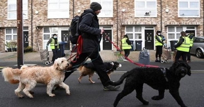 Diario HOY | Ante el aumento de robos de perros, el Reino Unido endurece las sanciones