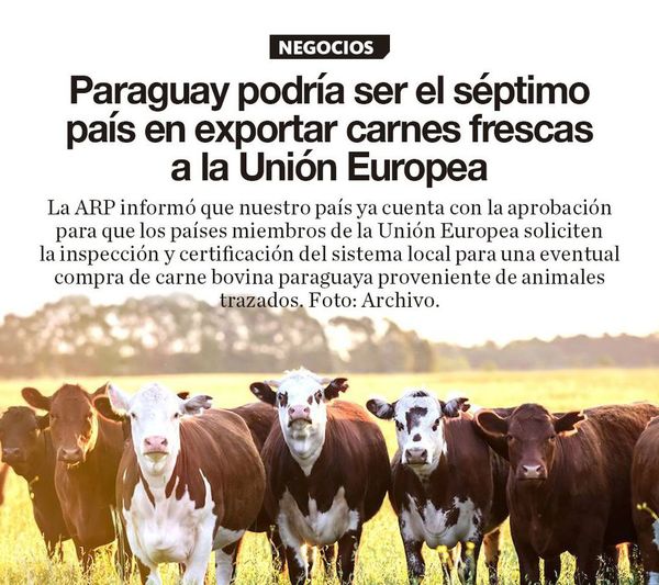 Paraguay podría ser el séptimo país en exportar carnes frescas a la Unión Europea
