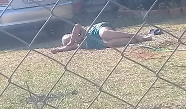 Crónica / Más de 400 abejas atacaron a una abuela
