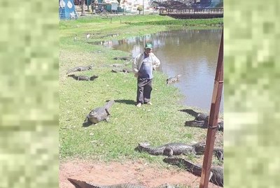 Crónica / EL “HOMBRE YACARÉ”. “Los cocodrilos son como mis mascotas”