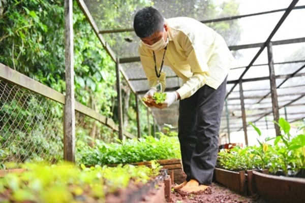 Indert entregará plantines frutales a familias beneficiaras de la reforma agraria | .::Agencia IP::.