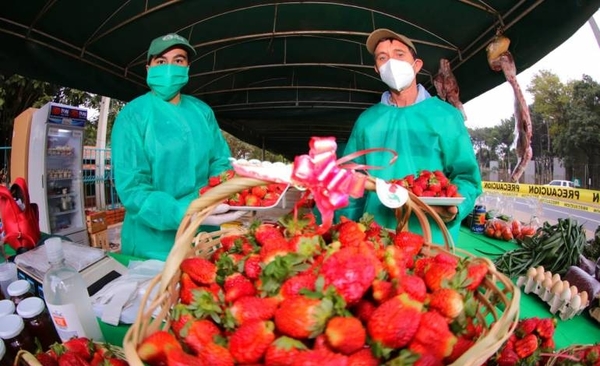 Diario HOY | Invitan a tres días de feria de frutillas y de orquídeas