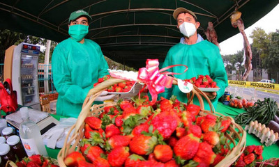 Desde el Ministerio de Agricultura invitan a tres días de feria de frutillas y de orquídeas - OviedoPress