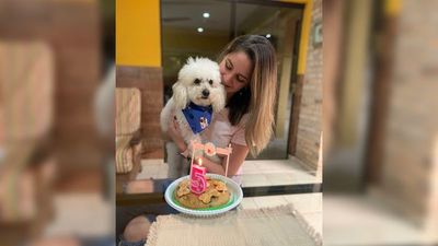 Extorsionan para cobrar las recompensas de mascotas