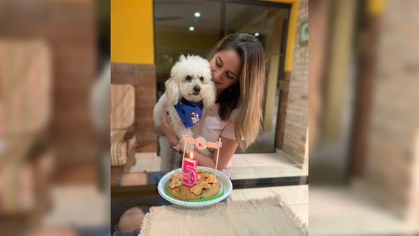 Extorsionan para cobrar las recompensas de mascotas