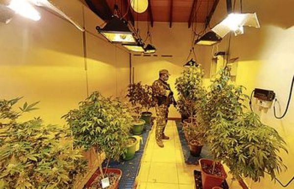 Caso Marihuana VIP: Se suspendió audiencia preliminar por cuarta vez