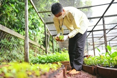 Indert entregará plantines frutales a familias beneficiaras de la reforma agraria