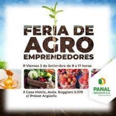 Diario HOY | Fabiana Sosa, jefa de Marketing de Panal Seguros, sobre feria de agroemprendedores