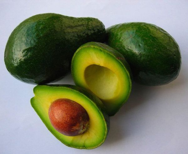 El aguacate, un antioxidante natural - Estilo de vida - ABC Color