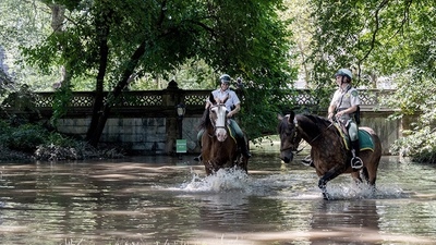 Al menos 44 muertos por las inundaciones en la ciudad estadounidense de Nueva York | .::Agencia IP::.