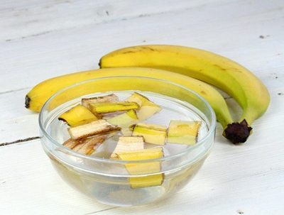 Recomiendan aprovechar nutrientes de la banana para mejorar la inmunidad · Radio Monumental 1080 AM