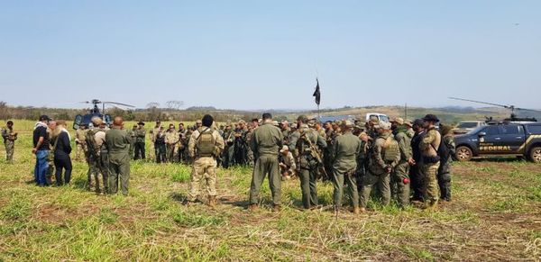 Paraguay y Brasil anulan 218 hectáreas de cultivos de marihuana tras 10 días de operaciones