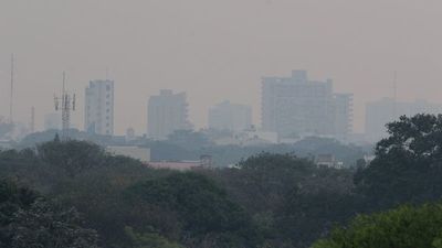 El efecto de los confinamientos en el medioambiente desapareció