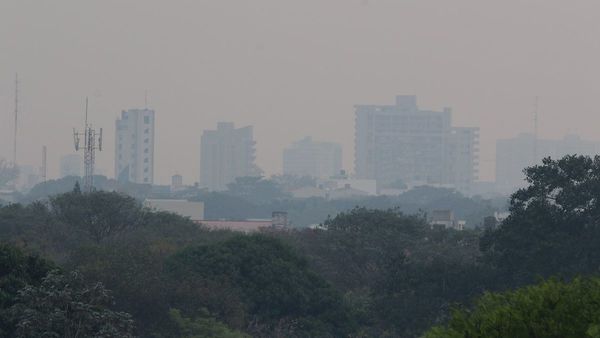 El efecto de los confinamientos en el medioambiente desapareció