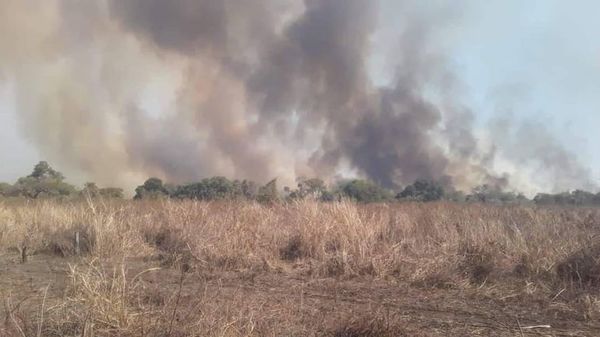 Focos de calor predominan en San Pedro - Nacionales - ABC Color