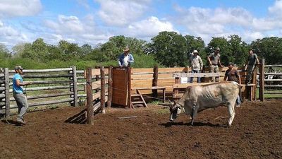 Expeones de estancia denuncian maltrato y falta de pago