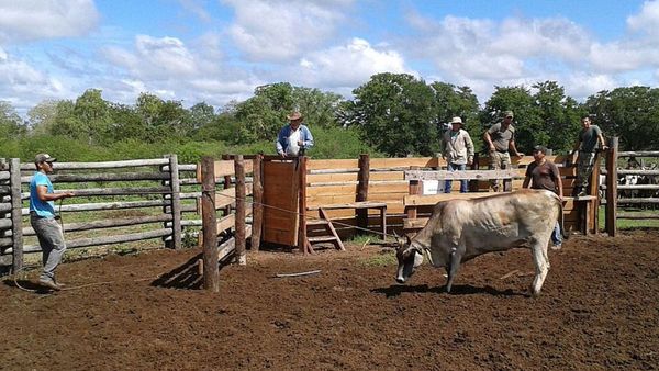 Expeones de estancia denuncian maltrato y falta de pago