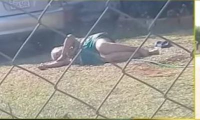 Muere doña atacada por abejas en Villa Elisa