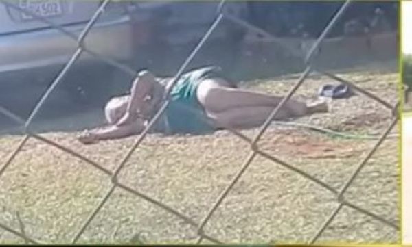 Muere doña atacada por abejas en Villa Elisa