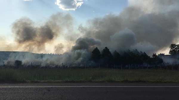 Declaran emergencia nacional y ambiental por incendios forestales